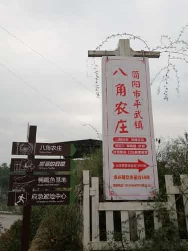 庄简王陵