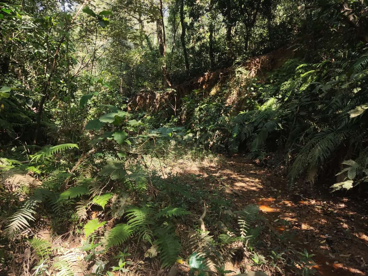 华林寺祖师墓群