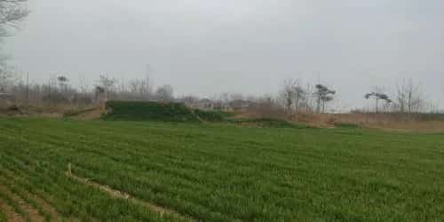 陈岗大古堆汉墓群