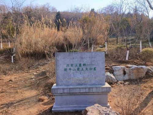 南洞山楚王夫妇墓