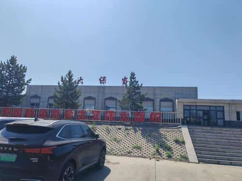 大保当城址及墓群