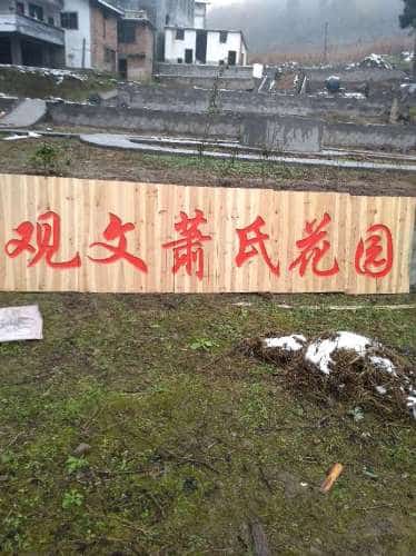 观文柚子土贞节牌坊