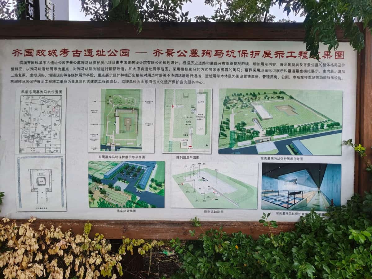 河崖头五号墓及殉马坑