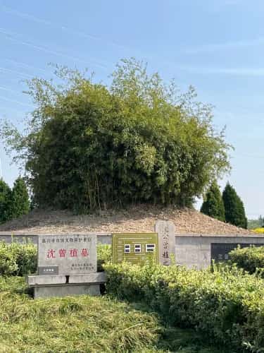 沈曾植墓
