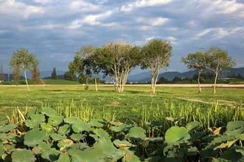 乌龟山越国贵族墓