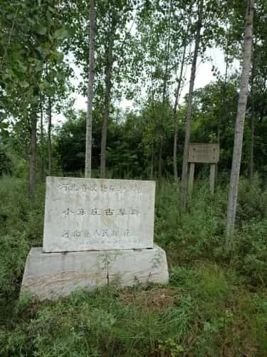 小东庄古墓群