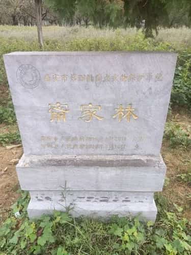 甯家林
