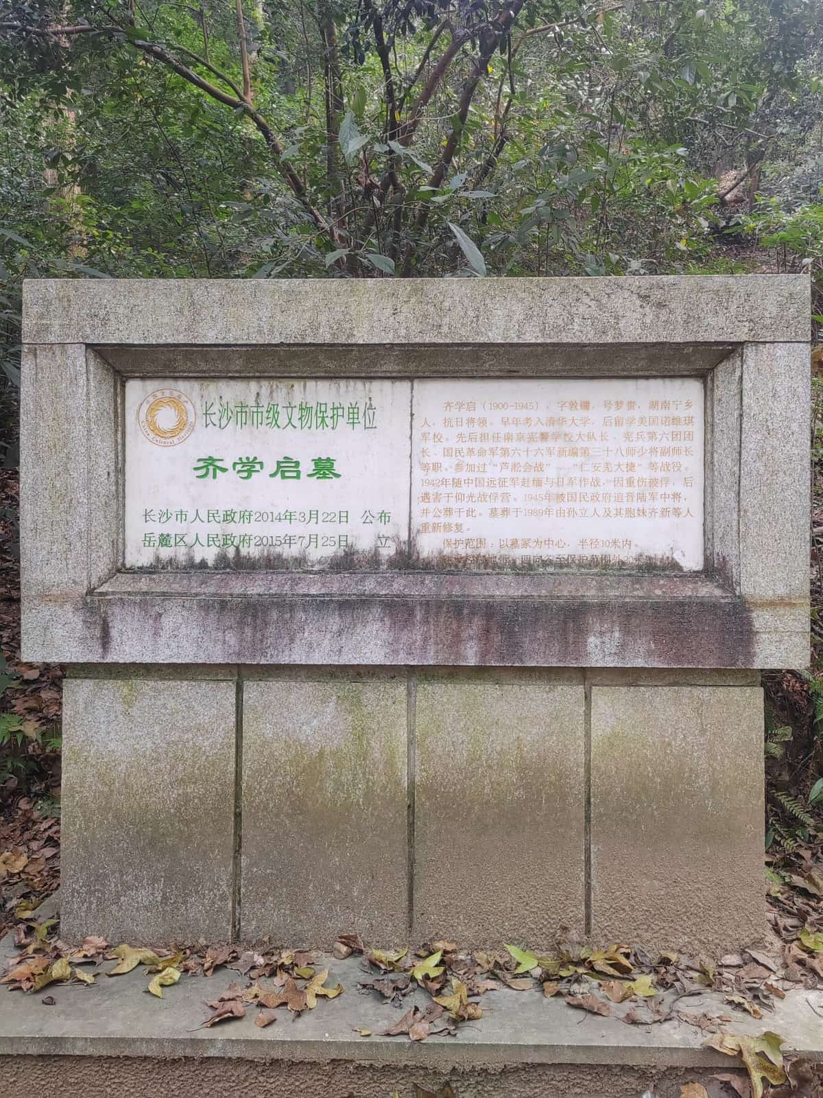齐学启墓
