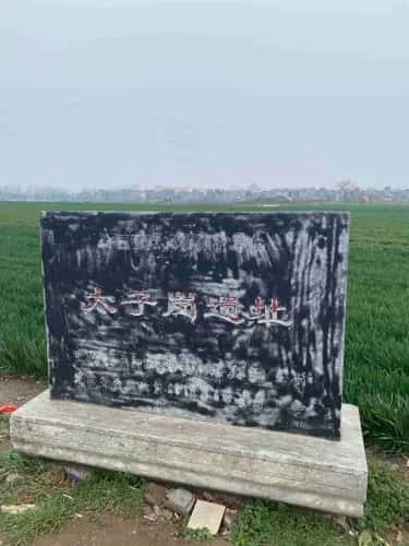 墓子岗遗址