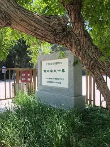 桃林烈士陵园