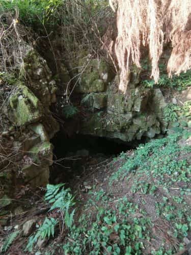 羊鬼山王后墓
