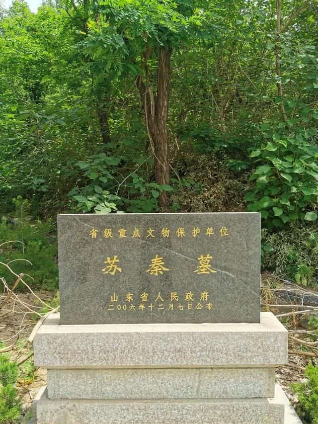 苏秦墓