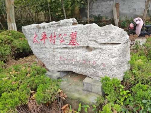 周家坡子遗址（含墓地）