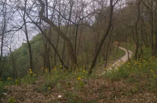 禹山墓区3319号墓