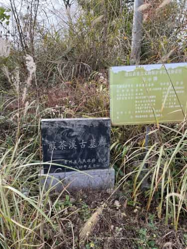 德江煎茶溪古墓群