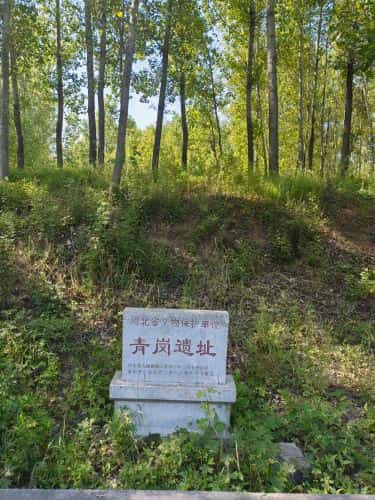 东仙坡杜村遗址