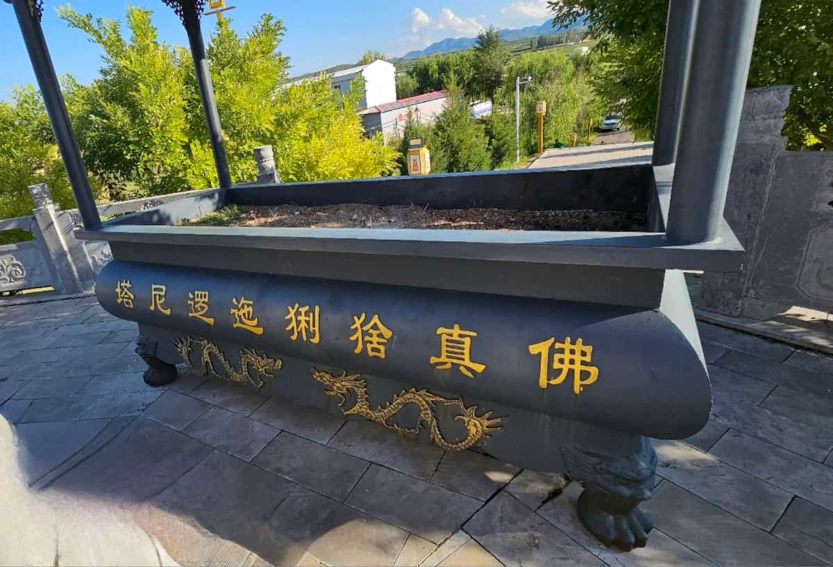 佛真猞猁迤逻尼塔