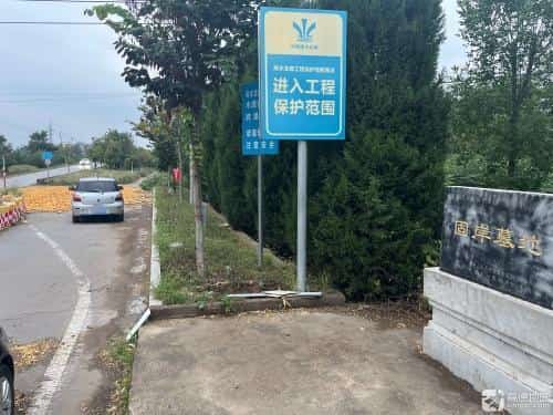 辛村墓地