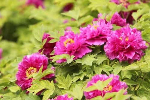 宋陵采石场遗址