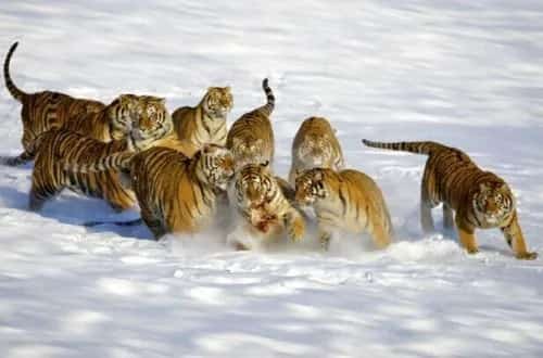 横道河子机务段锅炉房旧址（第七批-27）