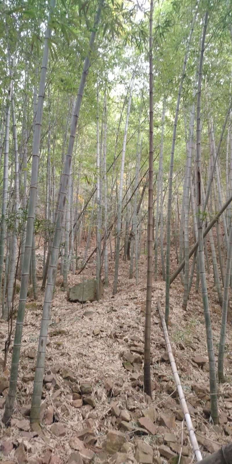 小王山摩崖题刻