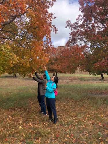 代钦塔拉古墓群