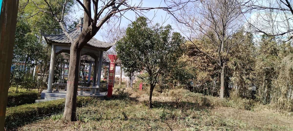 旭光村二号遗址（3-）