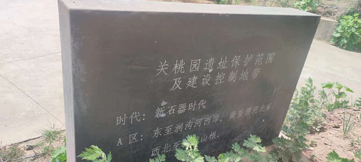 关桃园遗址（6-）