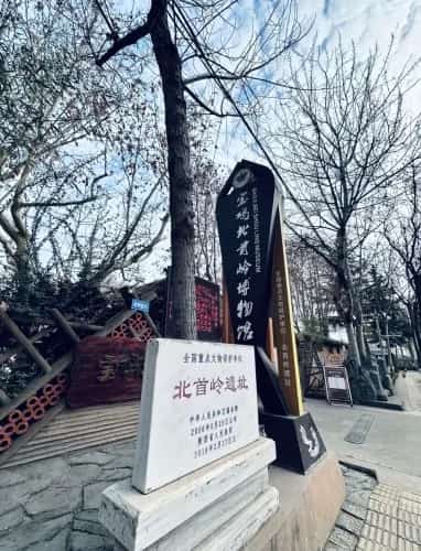 尚家岭遗址（6-）